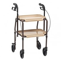 Handy Trolley with Brakes